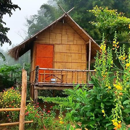 Baan Aingdoi Homestay, Chiang Dao Ngoại thất bức ảnh