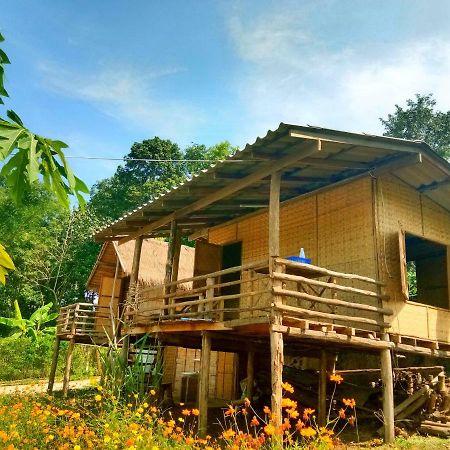 Baan Aingdoi Homestay, Chiang Dao Ngoại thất bức ảnh