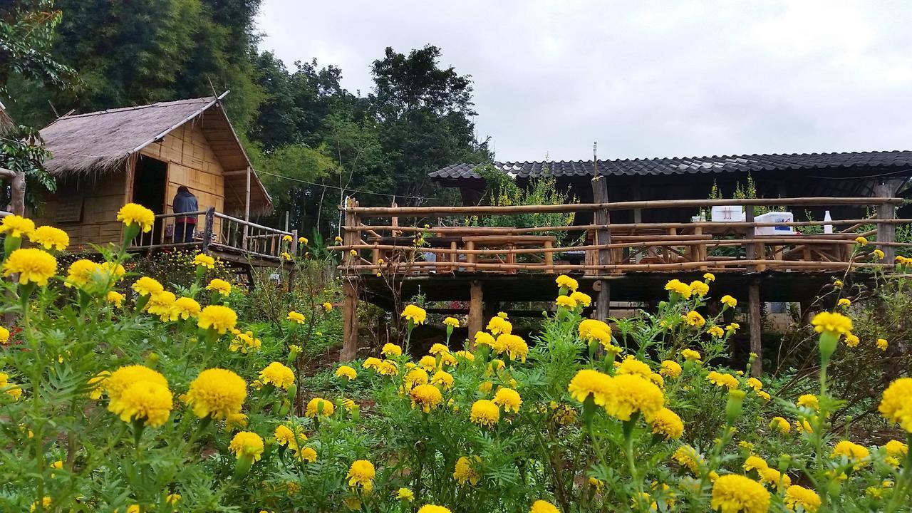 Baan Aingdoi Homestay, Chiang Dao Ngoại thất bức ảnh