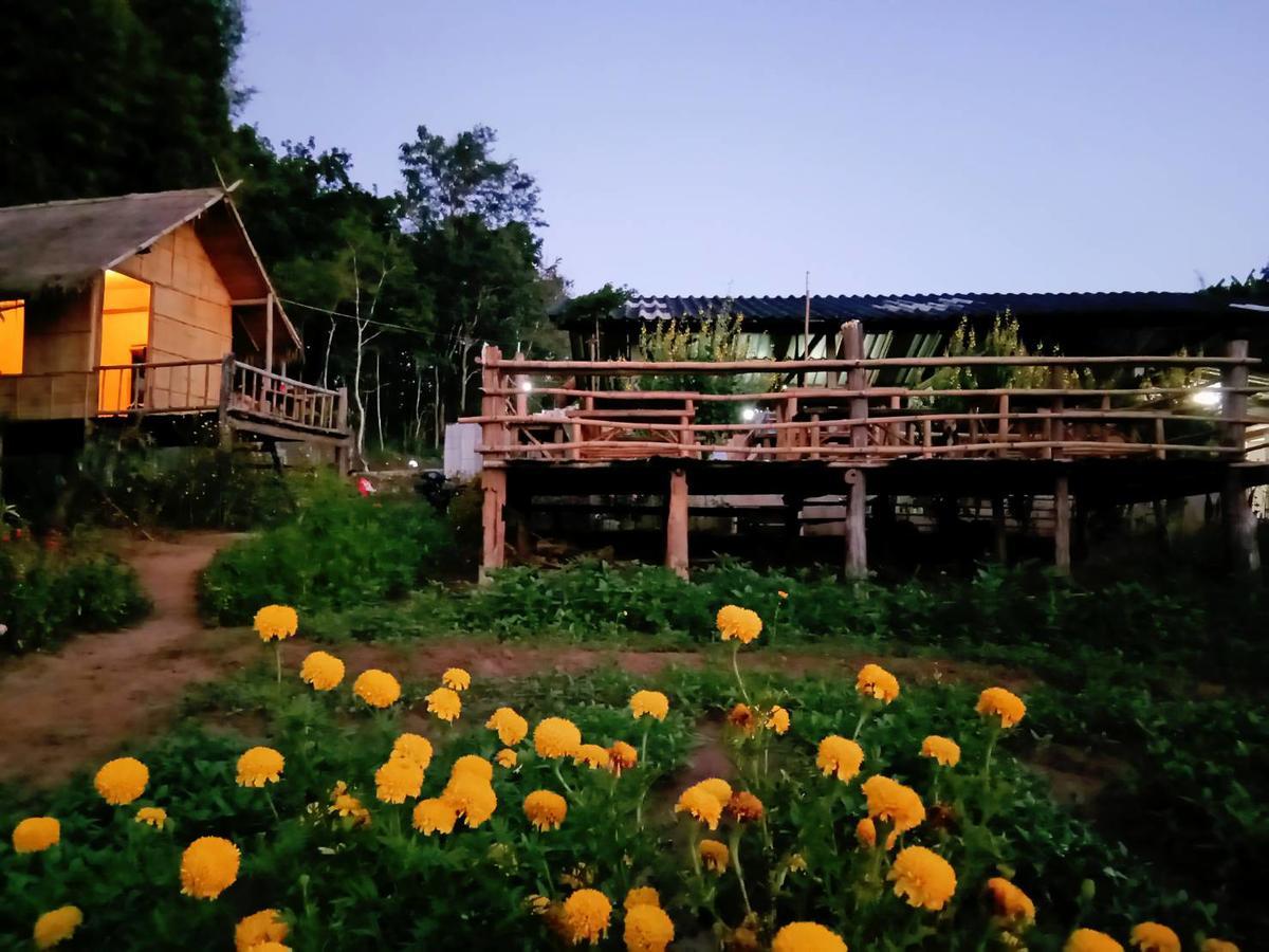 Baan Aingdoi Homestay, Chiang Dao Ngoại thất bức ảnh