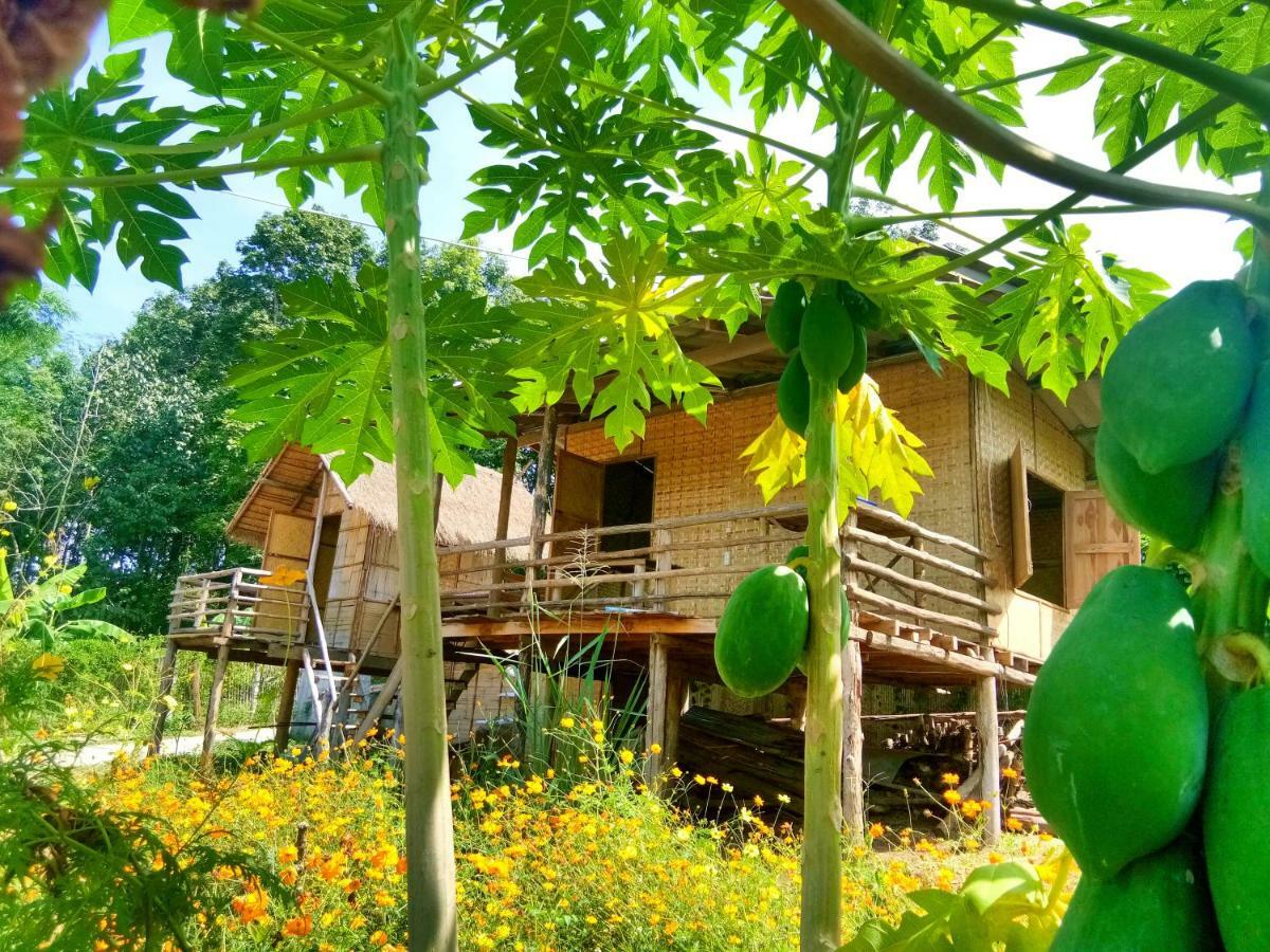 Baan Aingdoi Homestay, Chiang Dao Ngoại thất bức ảnh