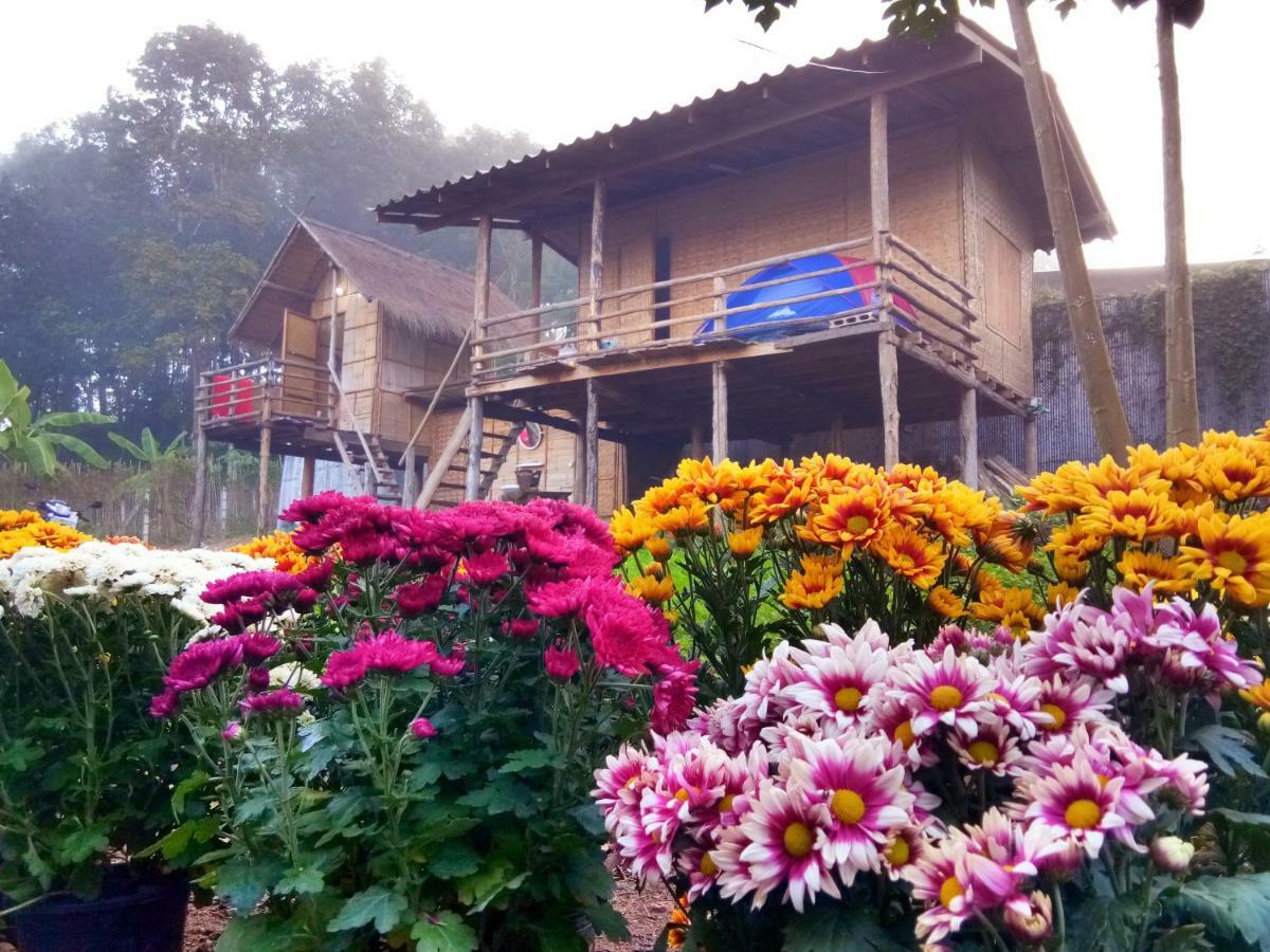 Baan Aingdoi Homestay, Chiang Dao Ngoại thất bức ảnh