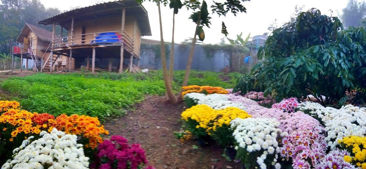 Baan Aingdoi Homestay, Chiang Dao Ngoại thất bức ảnh