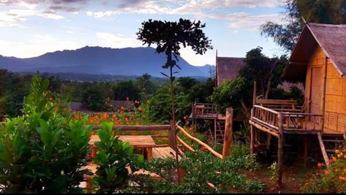 Baan Aingdoi Homestay, Chiang Dao Ngoại thất bức ảnh