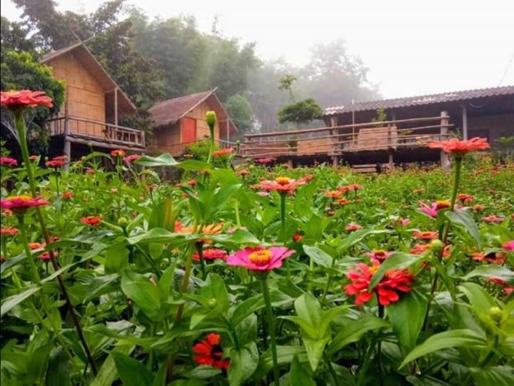 Baan Aingdoi Homestay, Chiang Dao Ngoại thất bức ảnh