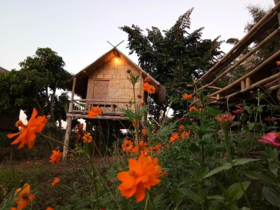 Baan Aingdoi Homestay, Chiang Dao Ngoại thất bức ảnh
